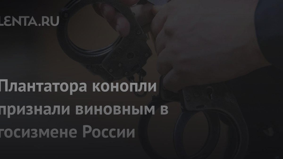 Почему выращивание конопли привело к 18 годам тюрьмы: детали приговора