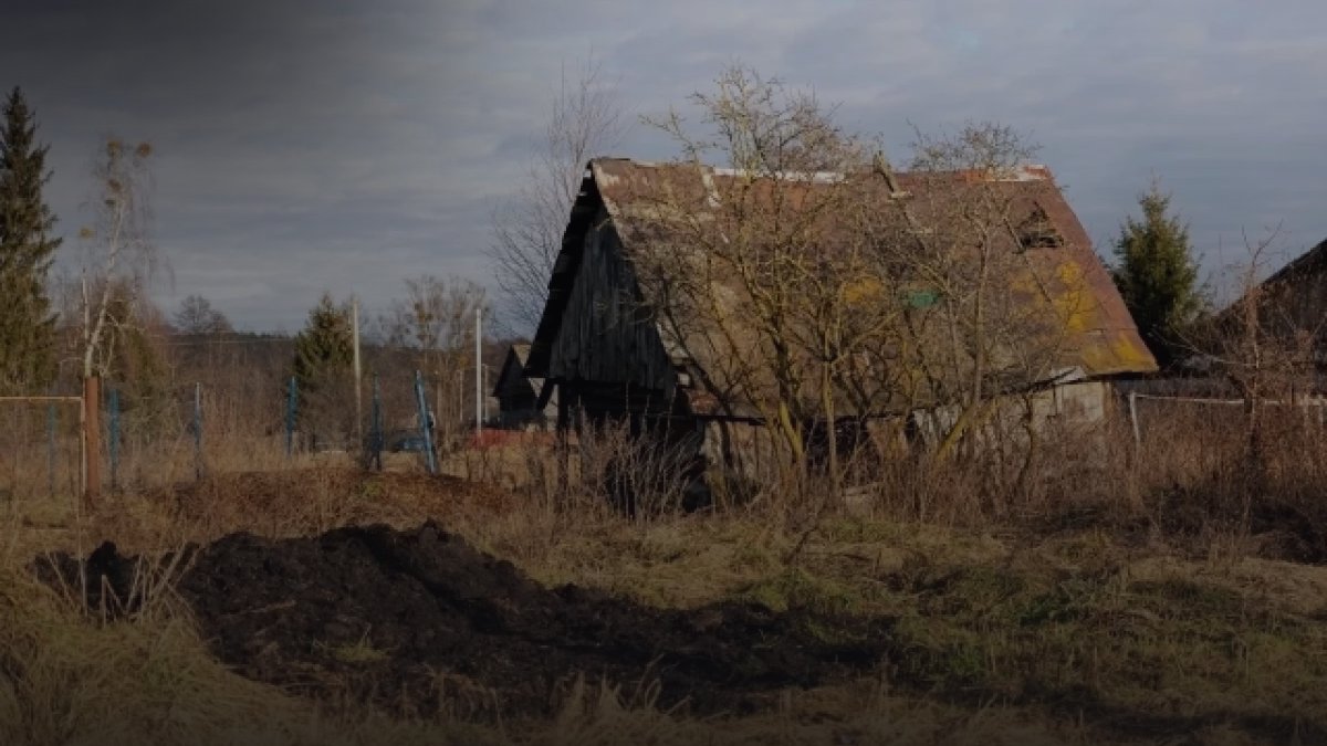 Заслуженный юрист раскрыл, за что отнимут квартиру у релокантов